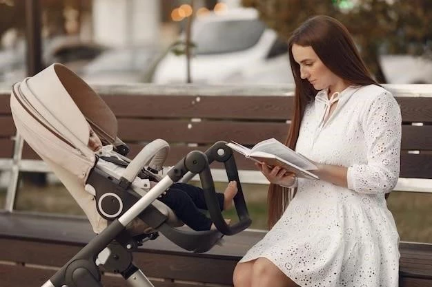 La Guía Definitiva para Elegir el Carrito de Bebé Económico Perfecto