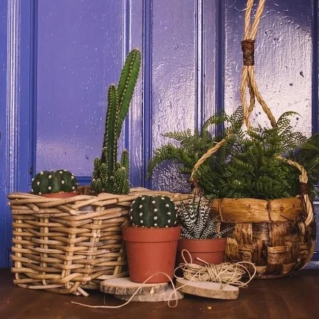 Ideas de decoración para un vivero con temática de la naturaleza