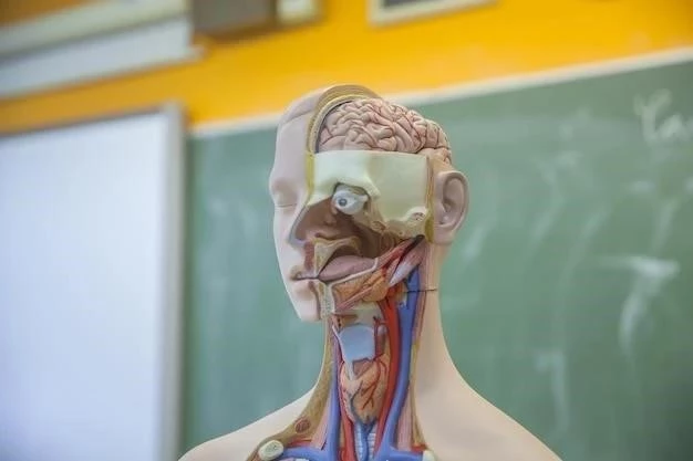 Anatomía y Función del Cúbito