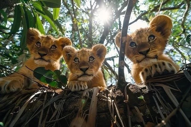 El Fascinante Mundo Felino: Una Visión General