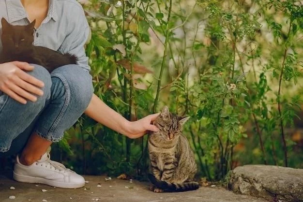 El fascinante mundo de los gatos: Un análisis integral