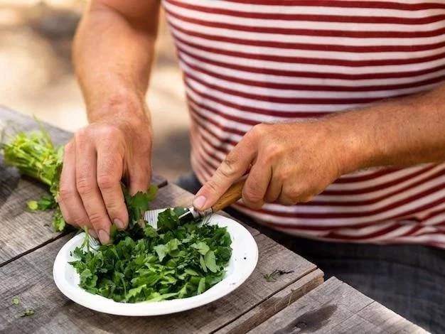 Kale: 7 Beneficios, Nutrición y Quién Debe Evitarlo