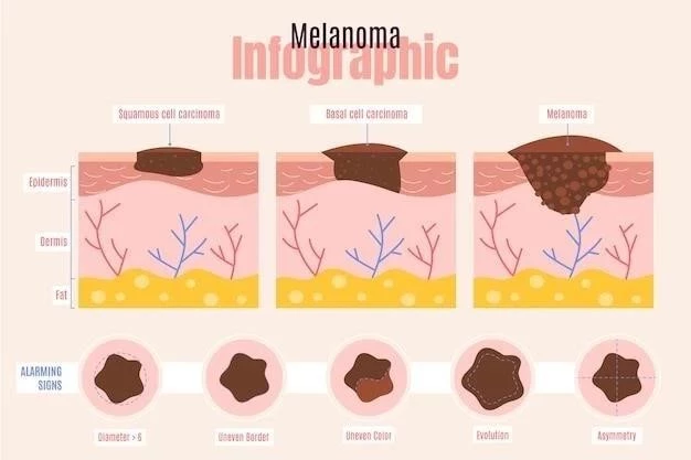 Hipodermis (Tejido Subcutáneo)⁚ Anatomía y Función