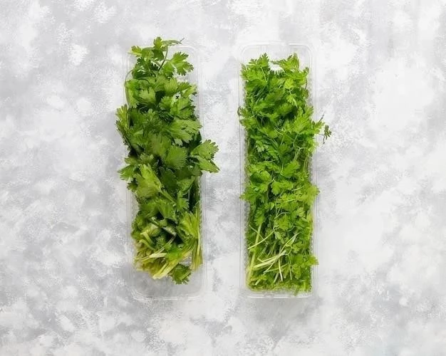 Coriandro vs. Cilantro: ¿Cuál es la diferencia?